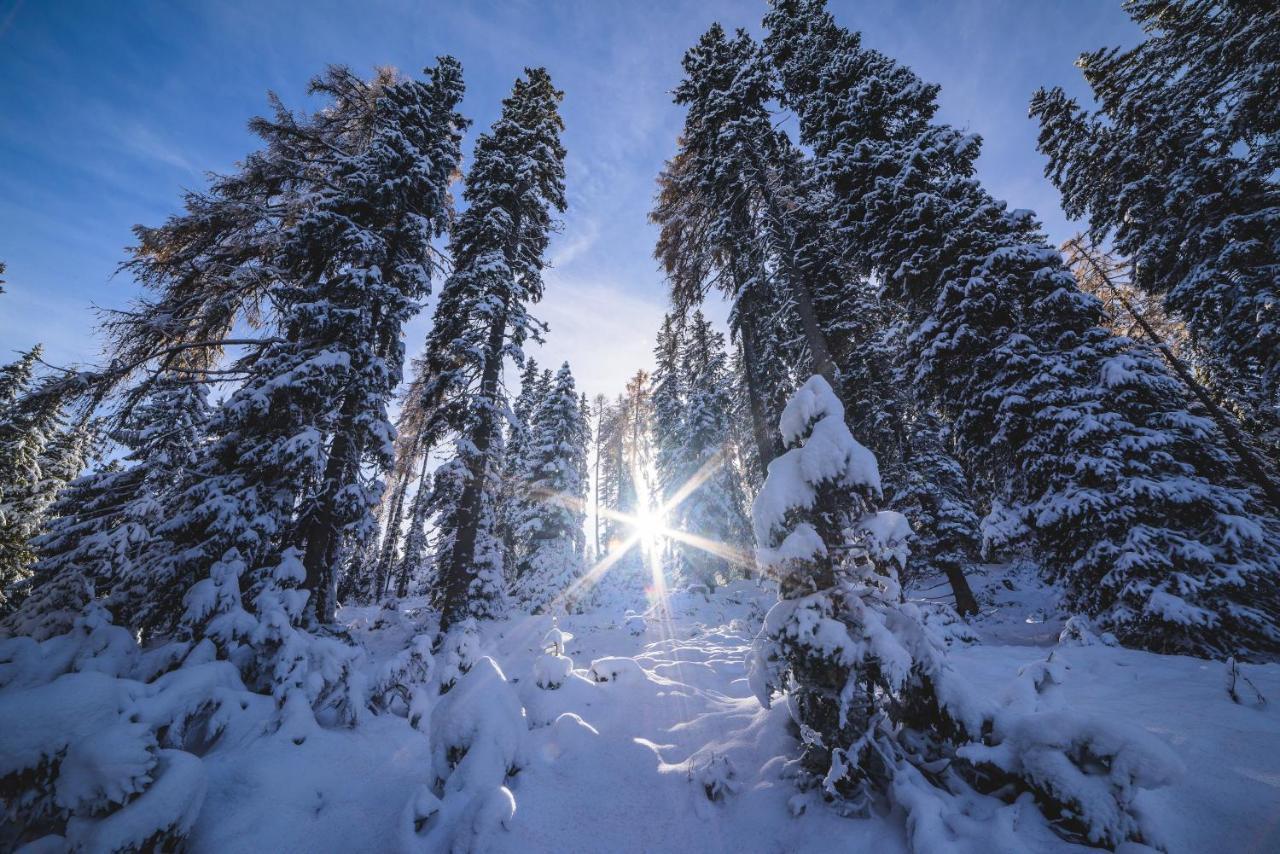 Naturpark Huette Mandl, Biobauernhof & Huettenurlaub سانكت لامبريشت المظهر الخارجي الصورة
