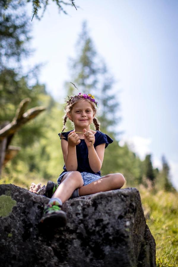 Naturpark Huette Mandl, Biobauernhof & Huettenurlaub سانكت لامبريشت المظهر الخارجي الصورة