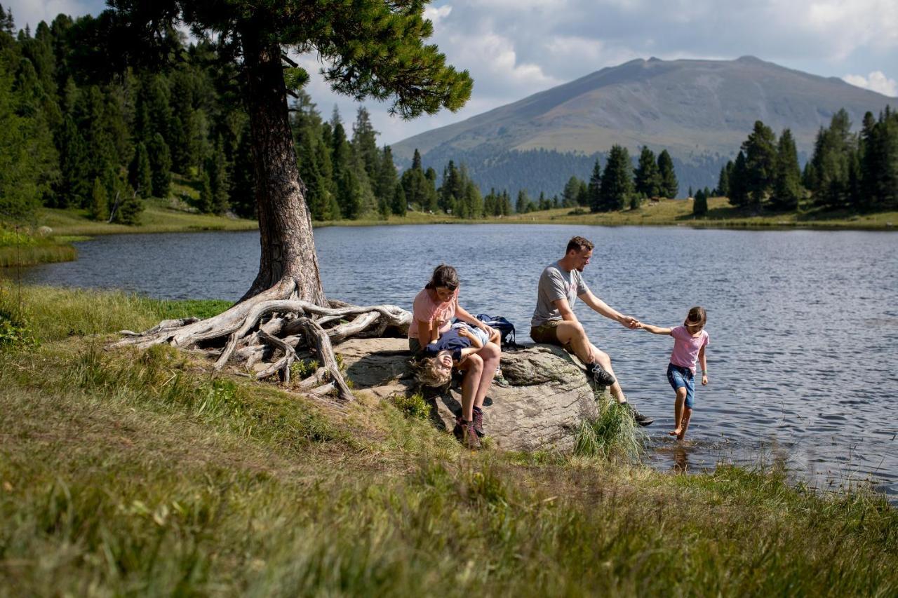 Naturpark Huette Mandl, Biobauernhof & Huettenurlaub سانكت لامبريشت المظهر الخارجي الصورة