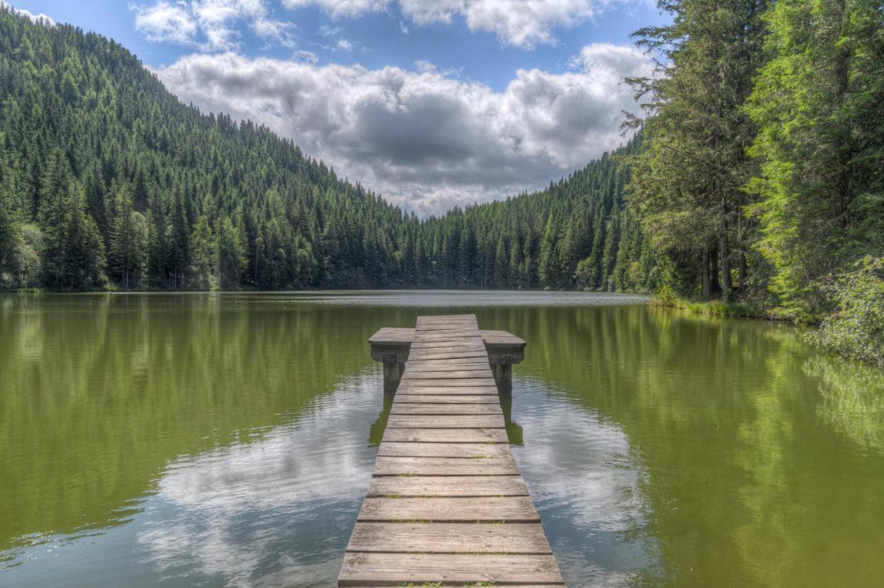 Naturpark Huette Mandl, Biobauernhof & Huettenurlaub سانكت لامبريشت المظهر الخارجي الصورة